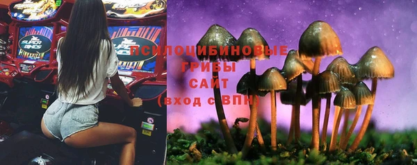 соль ск Осташков
