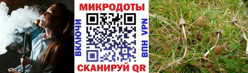 Псилоцибиновые грибы Psilocybine cubensis  нарко площадка клад  Ядрин 